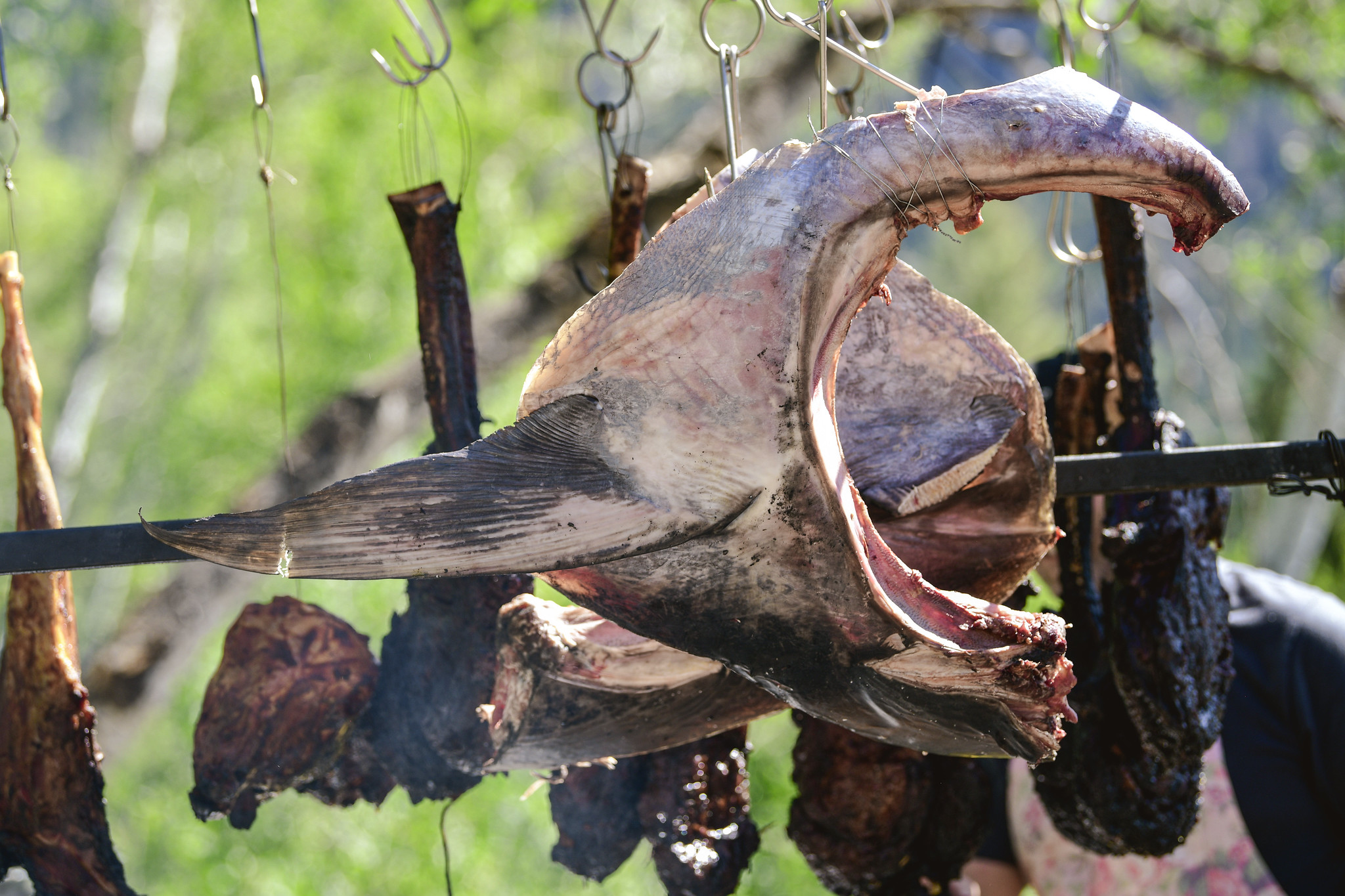 Giant fish collar hanging over fire